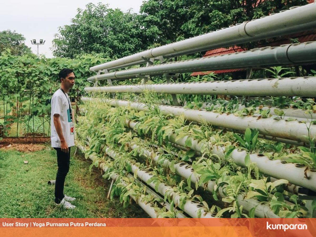 Allianz Ecopark Ancol Wisata Taman Hijau Edukatif Di Jakarta Kumparan Com