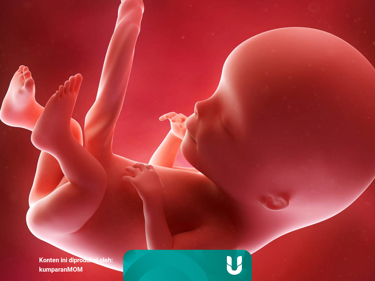 5 Jenis Gerak Bayi Dalam Kandungan Kumparan Com