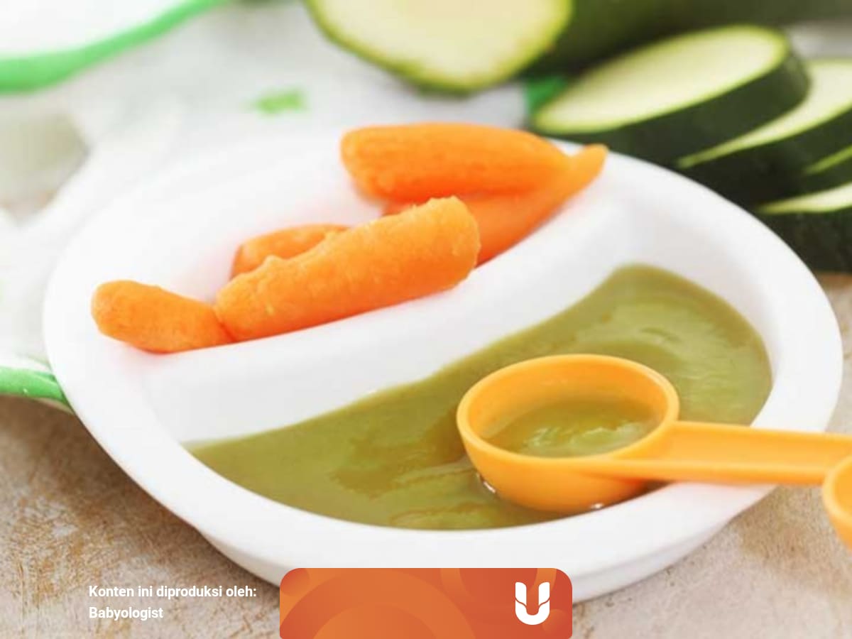 Texture Mpasi 9 Bulan / Resep Mp Asi Sederhana Tekstur ...