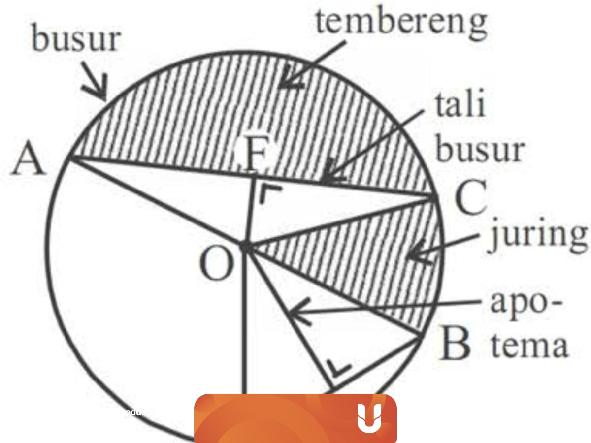 Mengenal Unsur Unsur Yang Terdapat Pada Lingkaran Kumparan Com