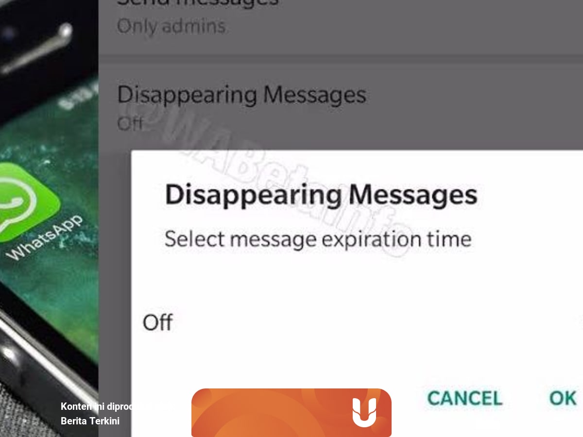 cara aktifkan fitur disappearing di whatsapp web iphone dan android antiribet kumparan com