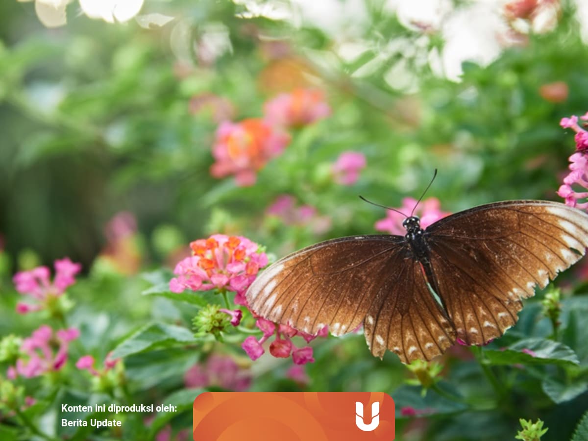 Contoh soal uts biologi kelas 10 smama dan kunci jawabnya terbaru