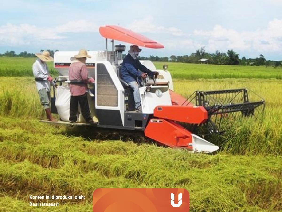 Tantangan Dalam Perkembangan Pertanian Indonesia Kumparan Com