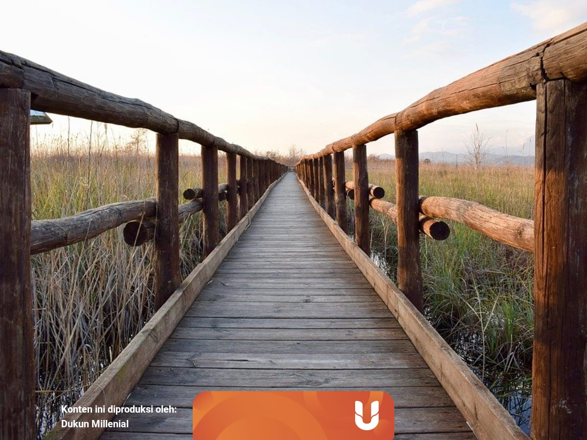 Arti Mimpi Menyebrangi Jembatan Kumparan Com