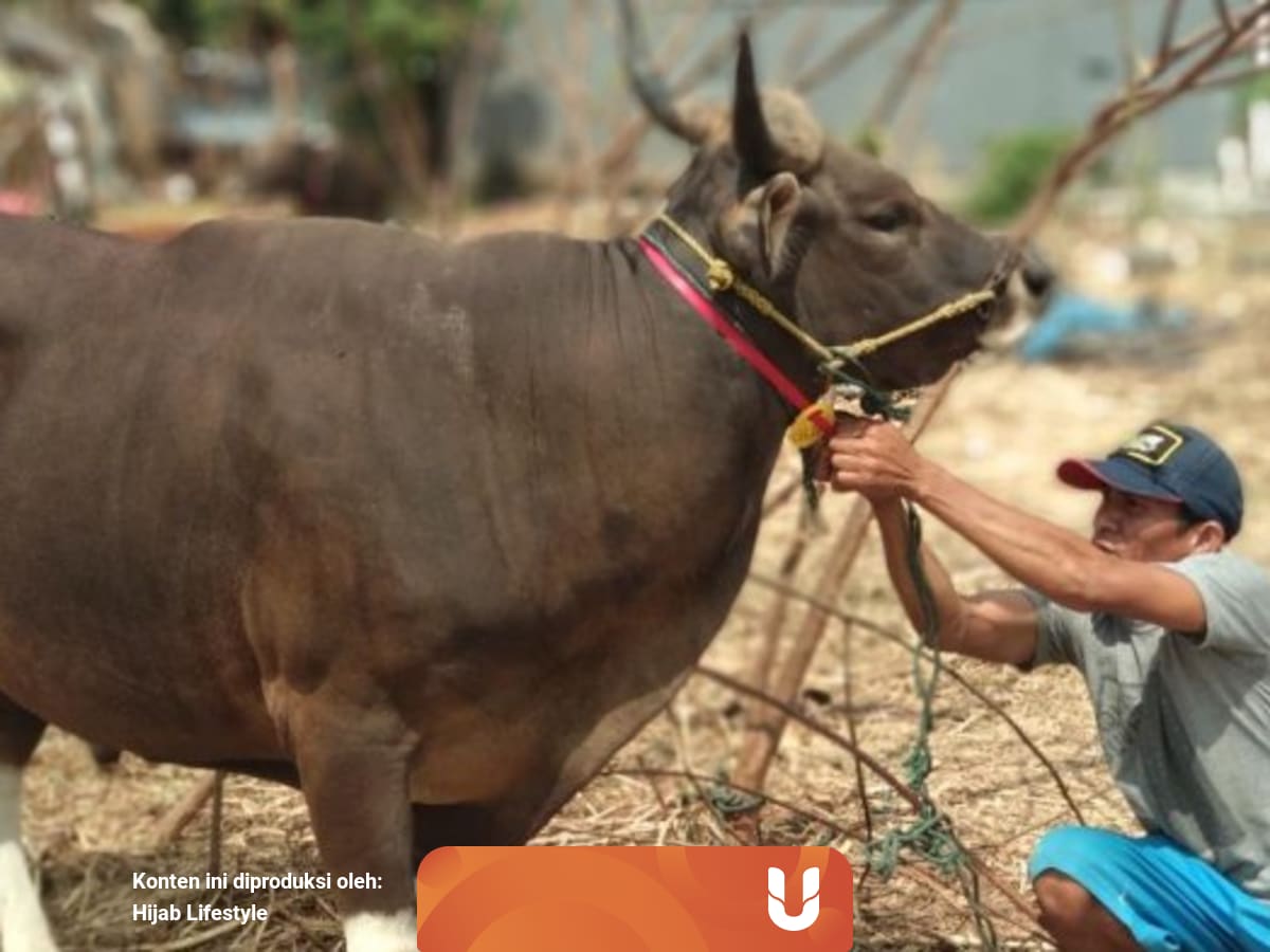 Cara Menyembelih Hewan Agar Menjadi Halal Sesuai Syariat Islam Kumparan Com