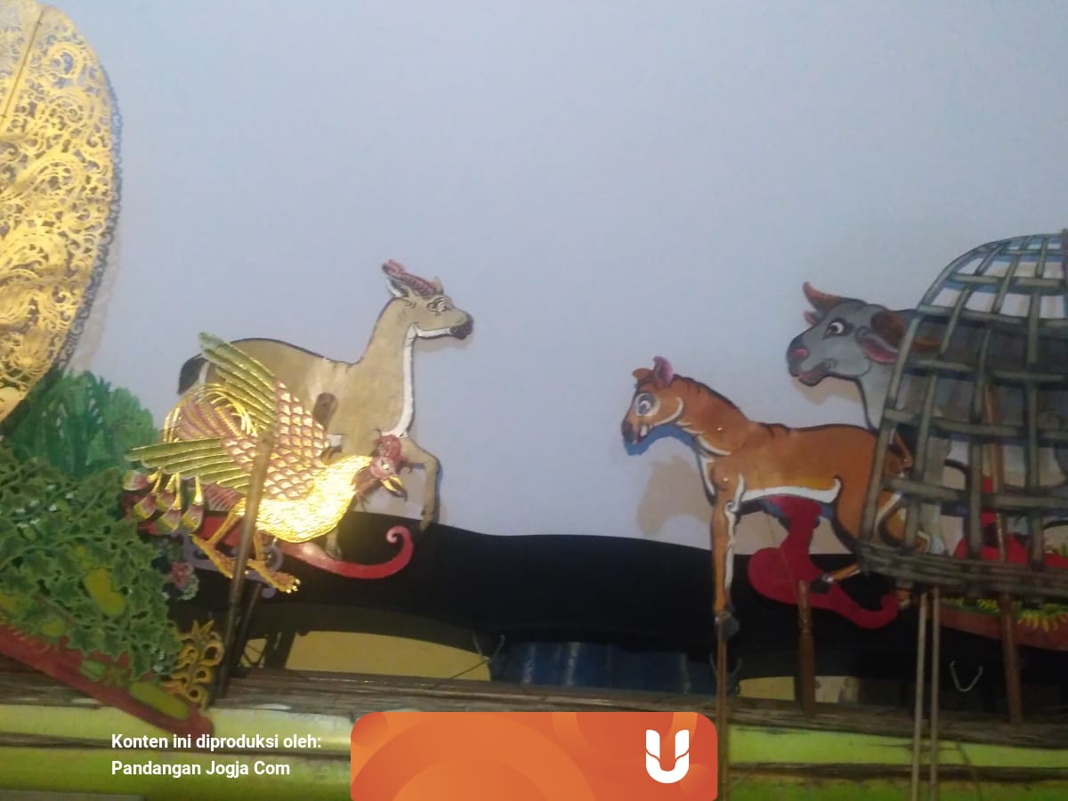 Kancil Enggak Pernah Nyolong Timun Lho Moms Kumparan Com