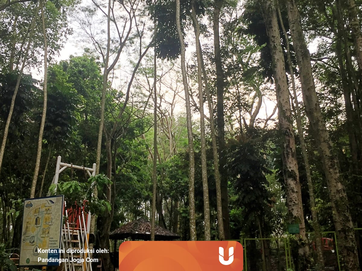 Kabupaten Konservasi Di Tambrauw Papua Barat Ala Sepus Marten Kumparan Com