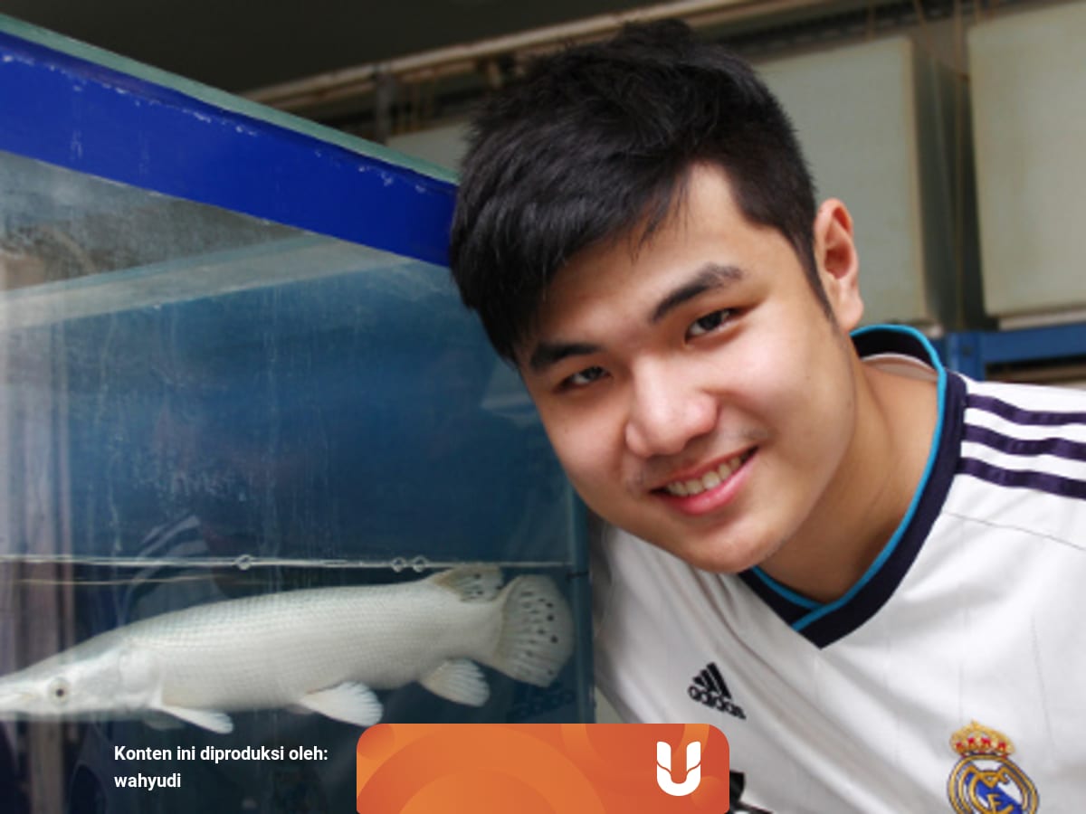 Kisah Inspiratif Nicholas Kurniawan Eksportir Ikan Hias Sukses Termuda Di Indonesia Kumparan Com