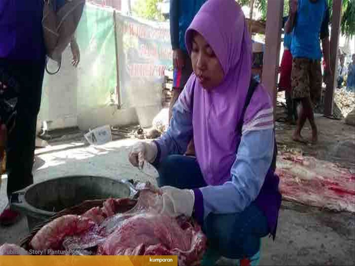 Cara Mudah Mengecek Daging Hewan Kurban Berpenyakit Kumparan Com