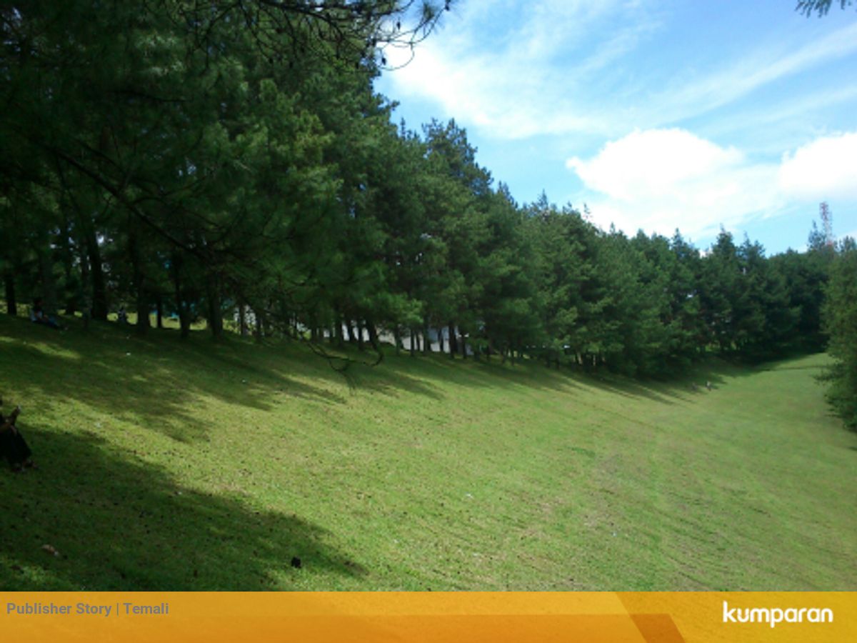 Belum Banyak Yang Tahu Lembah Hijau Tempat Wisata Baru Di Bandung Kumparan Com