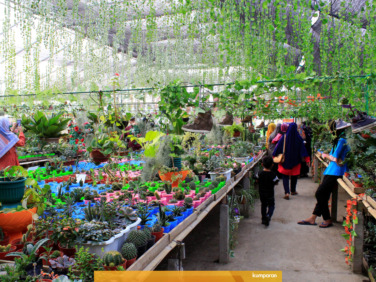 Green House Lezatta Wisata Imajinasi Yang Jadi Kenyataan Kumparan Com