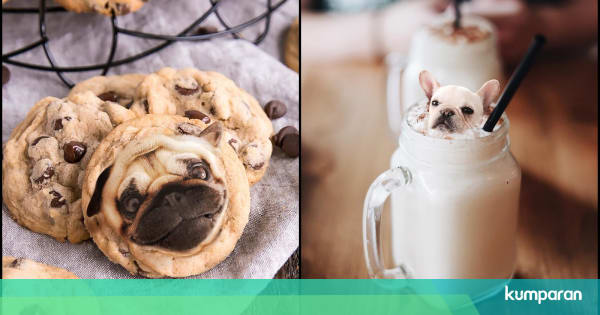 Gemas! Foto Anjing-anjing Ini Ada di Berbagai Makanan ...