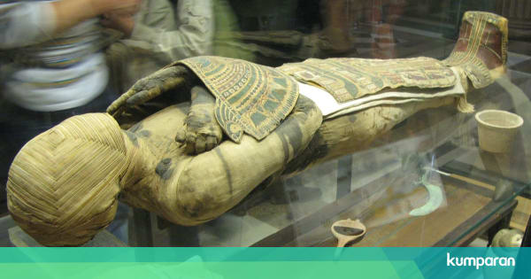Kapur Barus, Pengawet Mumi Firaun Asal Indonesia