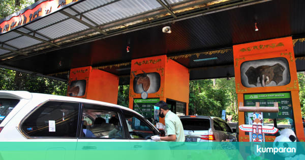 Liburan ke Taman Safari Bogor? Ini Protokol Kesehatan dan ...