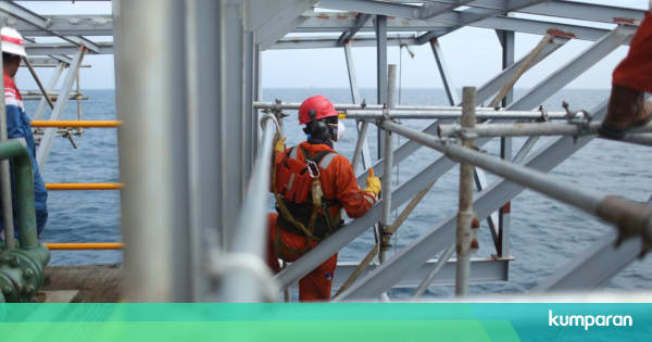 Lowongan Kerja Magang di Perusahaan Migas Terkemuka Tawarkan Banyak Posisi - kumparan.com