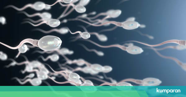 Vitamin Yang Dibutuhkan Pria Agar Memiliki Sperma Yang Sehat