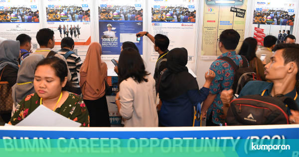 Lowongan Kerja Bumn Untuk Fresh Graduate