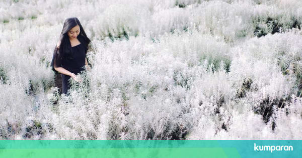 5 Bukit di Bali dengan Pemandangan yang Instagramable dan ...