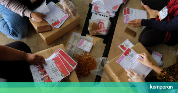 Vidio Suara Cici Padi Betina : Perawatan burung ciung batu ...