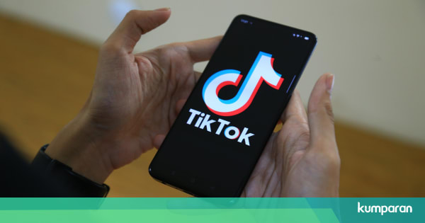 Bf Film Indo TikTok Dorong Kreator Konten Indonesia Bikin Video 