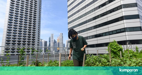 Foto: Melihat Kebun Di Atas Atap Gedung di Singapura - kumparan.com