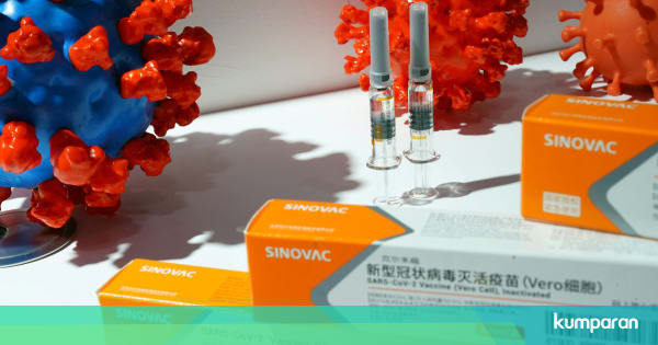 China Segera Kirim 40 Juta Dosis Vaksin Corona Sinovac ke