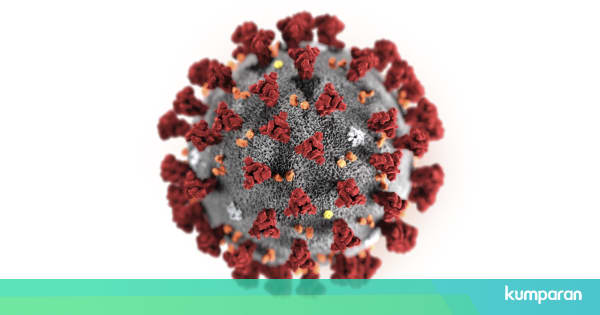 cerita cinta yang negatif Kemenkes 19 Orang di RI Dipantau Terkait Corona 9 Sudah 