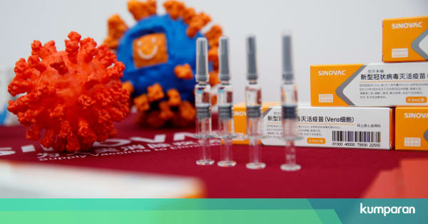 Bio Farma Estimasi Harga  Vaksin Corona Sinovac Maksimum 