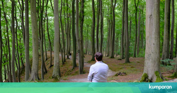 Sepotong Kisah Mistis Di Bukit Soeharto Calon Ibu Kota Indonesia Kumparan Com