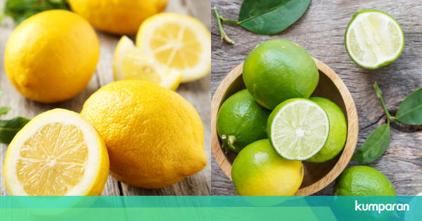 Lemon Dan Jeruk Nipis Apa Bedanya 6444