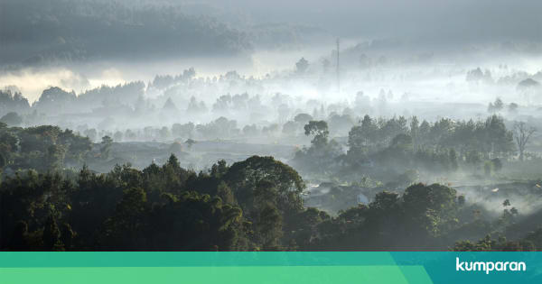 Suhu Dingin Dialami Sebagian Indonesia Saat Kemarau Ini Penjelasan Bmkg Kumparan Com