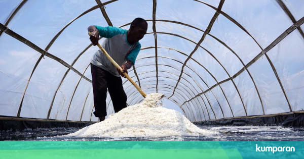 Jaga Stabilitas Harga, KKP Kembangkan Resi Gudang Garam ...