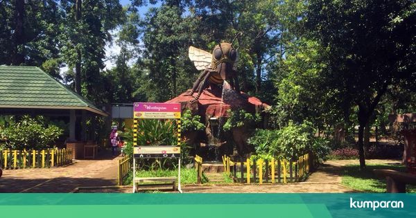 Liburan Murah Meriah Kala Lebaran Sambil Mengenal Lebah Di