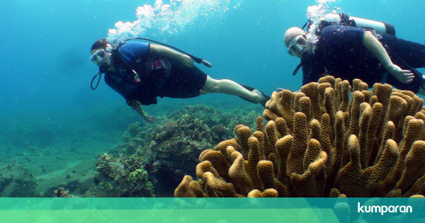 Amerika Akan Buka Museum Bawah Laut Pertama di Bulan Juni ...