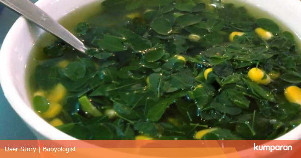 Daun Kelor Rahasia Supaya Asi Ku Lancar Kumparan Com