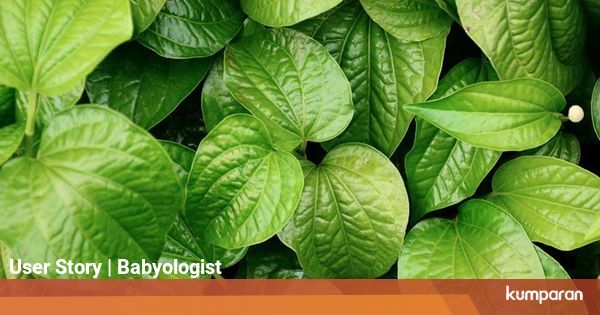 Cara Menghilangkan Keputihan dan Bau Tak Sedap secara Alami dan Cepat