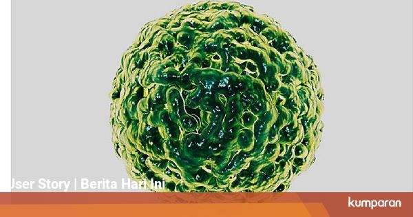 Apa Itu Norovirus, Virus Penyebab Diare yang Kini ...