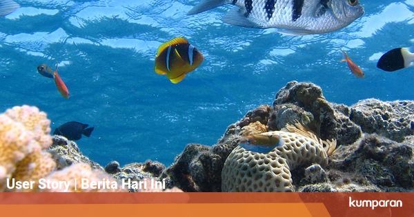 Macam-Macam Ekosistem, dari yang Alami Hingga Buatan ...