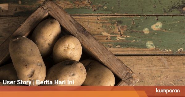 Contoh Umbi Batang dan Ciri-cirinya, Bisa Jadi Pengganti ...