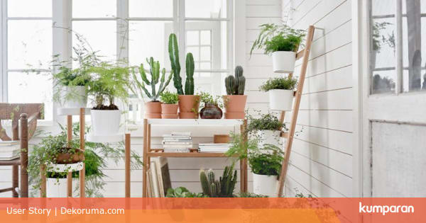 6 Desain Taman  dalam Rumah  untuk Hunian  Asri  dan Udara 