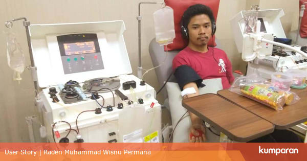 Pengalaman Donor Darah Apheresis Kumparan Com