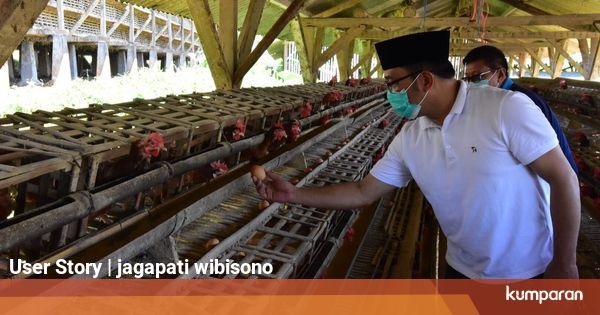 Peternak Ayam Petelur Keluhkan Infrastruktur Jalan Rusak Kepada