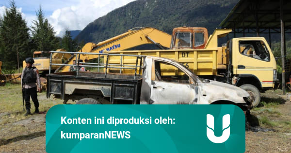 Wagub Papua Minta TNI dan Polri Tangkap KKB yang Eksekusi ...