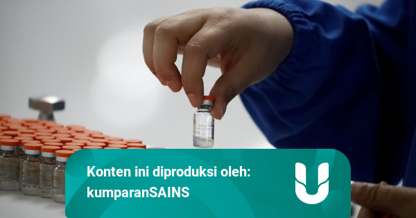 Izin Darurat Vaksin Sinovac Januari 2021, BPOM Tunggu Data ...