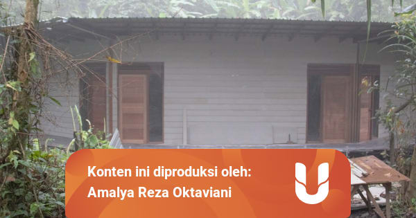 Hilangnya Hutan Sebagai Akar Permasalahan Kawasan Puncak ...