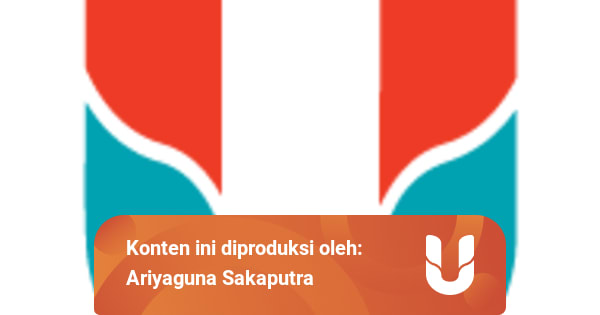 Akuntansi Akrual Penerapannya Terhadap Tata Kelola Keuangan Desa Kumparan Com