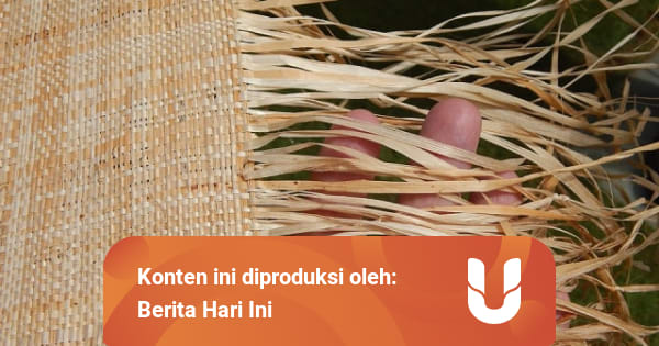 Serat Tumbuhan Pengertian Jenis Dan Manfaatnya Kumparan Com