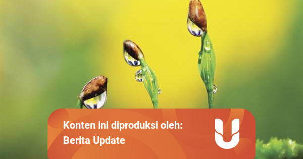 Sumber Daya Alam Pengertian Jenis Manfaat Dan Contoh Kumparan Com