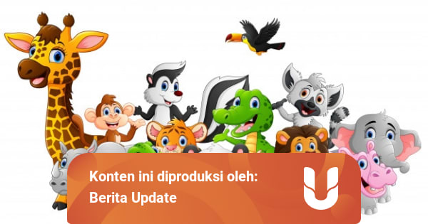 Cabang Ilmu Biologi Yang Membahas Tentang Klasifikasi Makhluk Hidup Kumparan Com