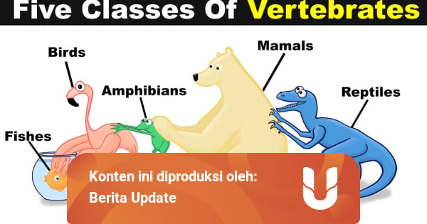 Biologi Pengertian Hewan Vertebrata Dan Pengelompokan Kelasnya Kumparan Com